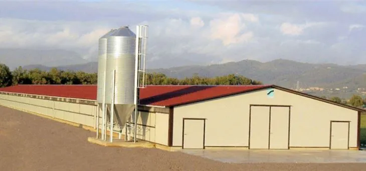 Wirtschaftliche Geflügelzucht